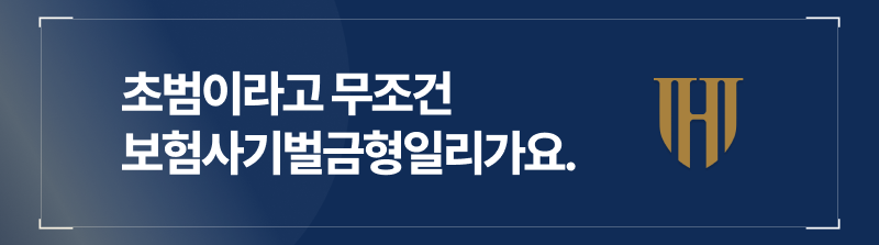 보험사기초범이라고해서 보험사기벌금형처분이 내려지진 않습니다.