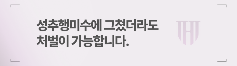 성추행미수에 그쳤더라도 처벌이 가능합니다.